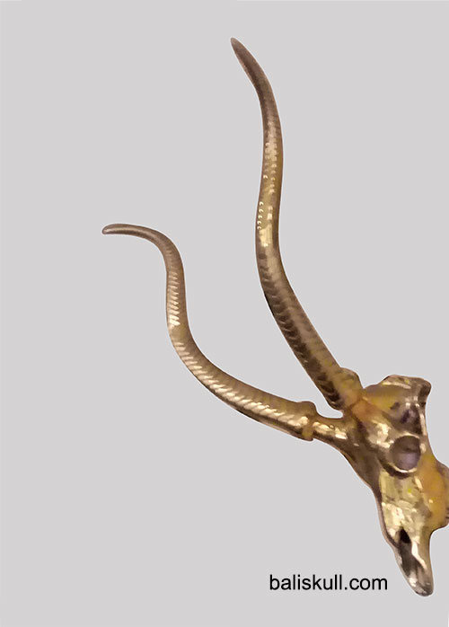 longhorn buffalo skull made of brass by Bali Skull