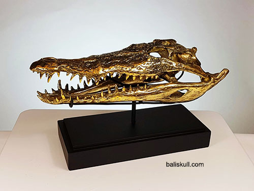 crocodile skull made of brass by Bali Skull