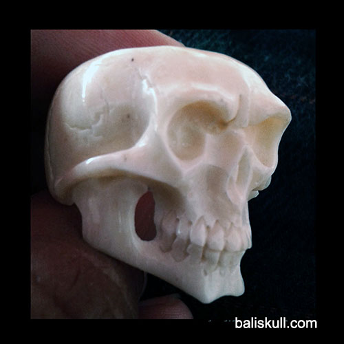 skull ring made from bones