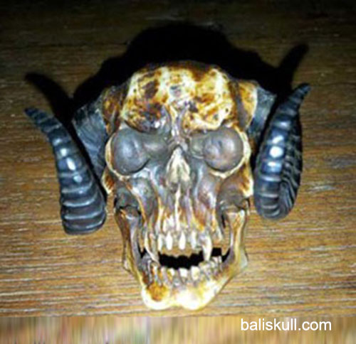 skull ring made from bones and horn by Bali Skull