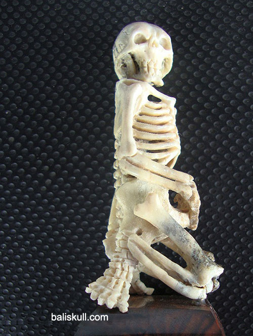 sutting skeleton with deer antelier material produce by Bali Skull