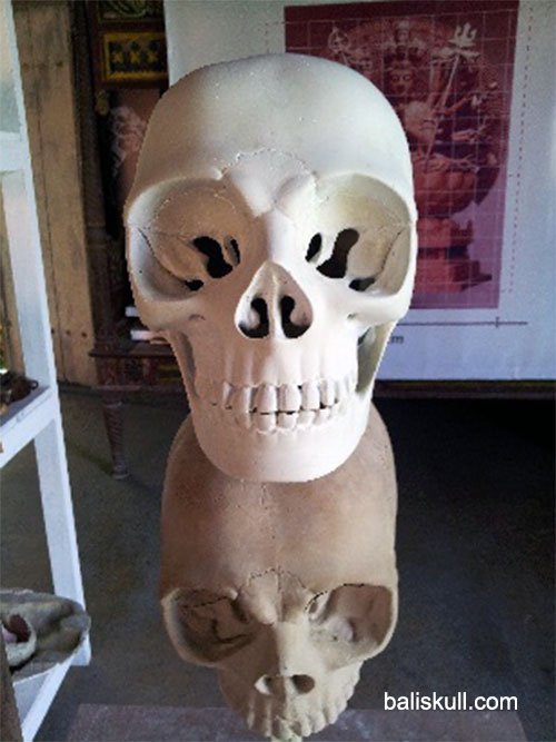 duplicate of human skull made of resin